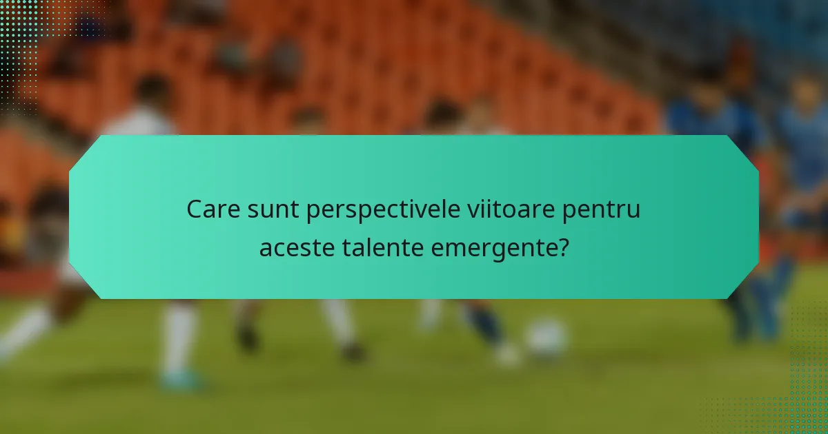 Care sunt perspectivele viitoare pentru aceste talente emergente?