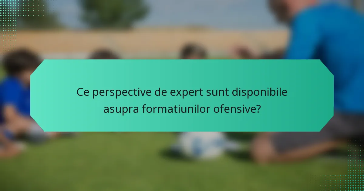 Ce perspective de expert sunt disponibile asupra formatiunilor ofensive?